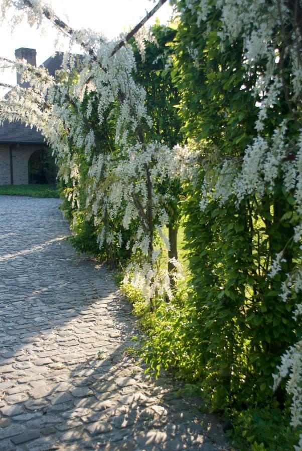 Villami Anzegem Dış mekan fotoğraf